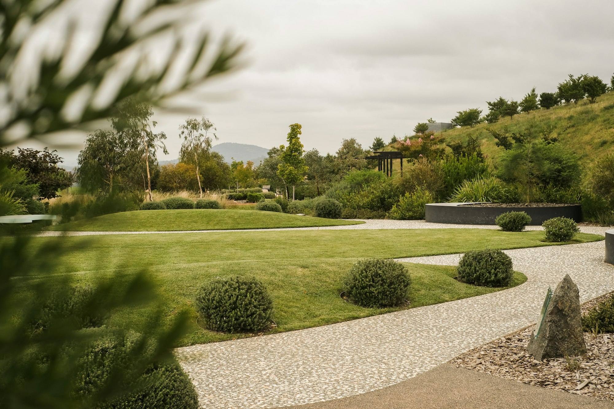 Wide green lawn bordered by shrubs