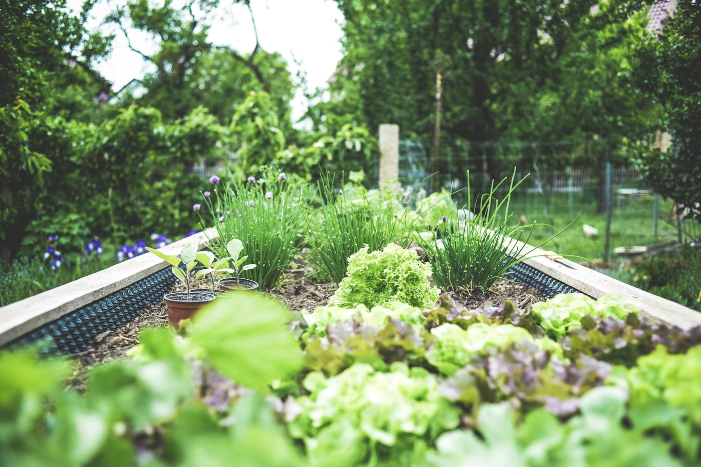 Wooden raised vegetable bed