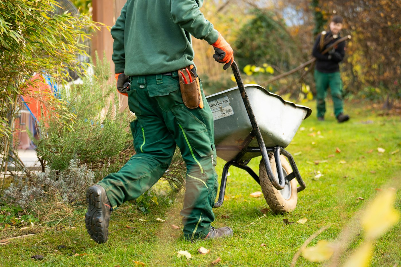 Gardener with a wheelbarrow tending a garden